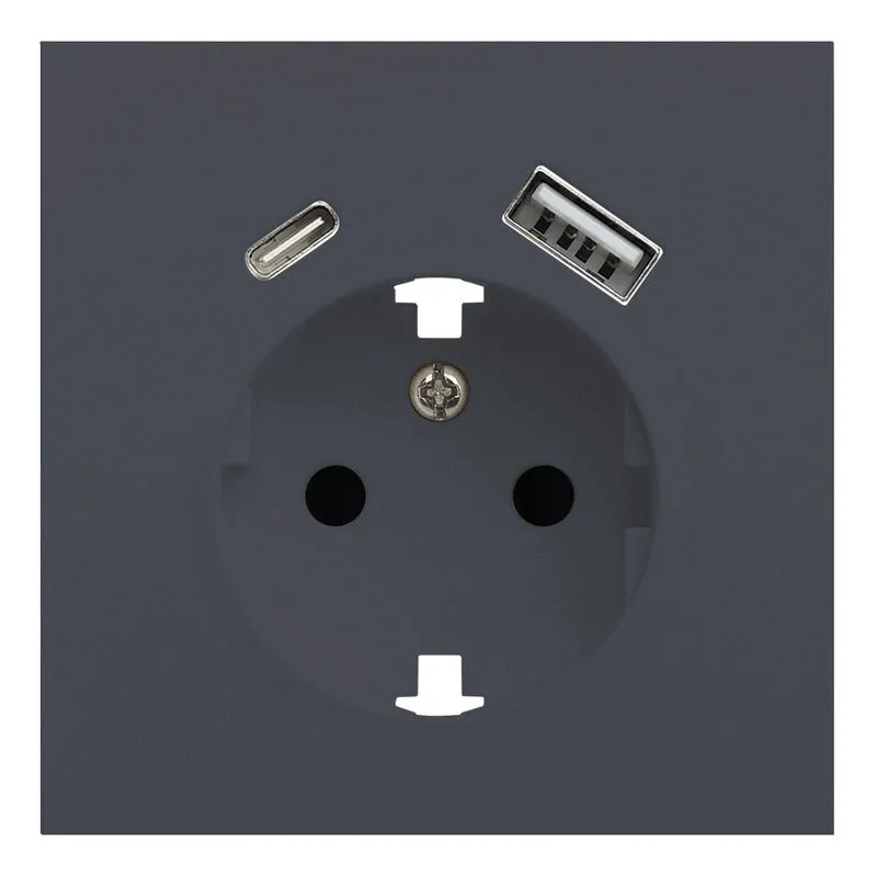 Лицевая панель розетки с заземлением и с USB портами, Rikett