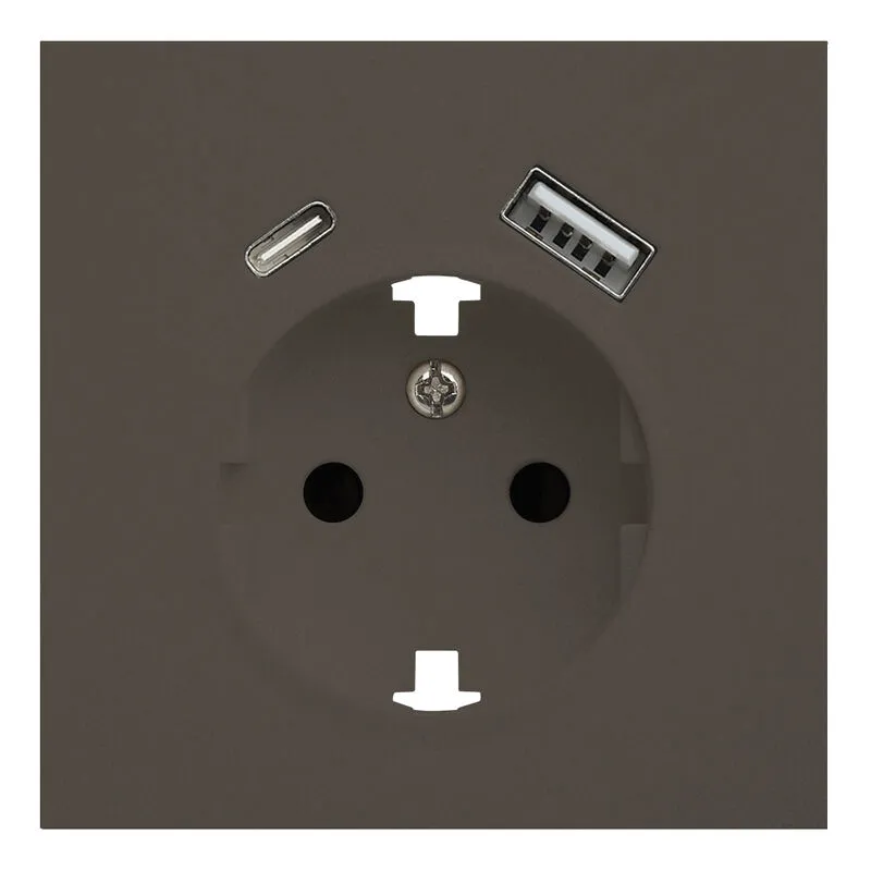 Лицевая панель розетки с заземлением и с USB портами, Rikett