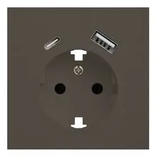Лицевая панель розетки с заземлением и с USB портами, Rikett