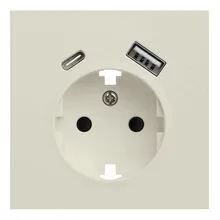 Лицевая панель розетки с заземлением и с USB портами, Rikett