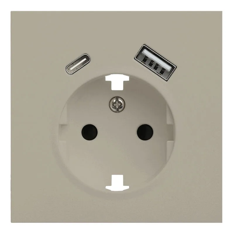Лицевая панель розетки с заземлением и с USB портами, Rikett
