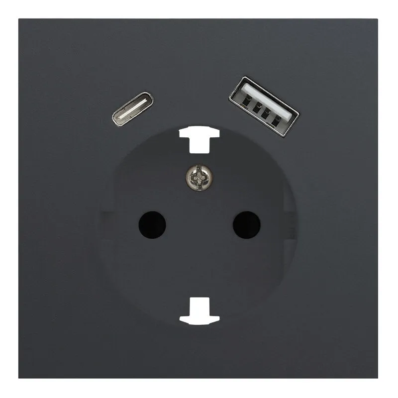 Лицевая панель розетки с заземлением и с USB портами, Rikett