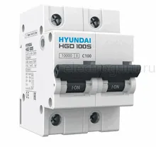 Автоматический выключатель HGD100S двухполюсный, Hyundai Electric