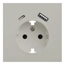 Лицевая панель розетки с заземлением и с USB портами, Rikett