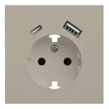 Лицевая панель розетки с заземлением и с USB портами, Rikett