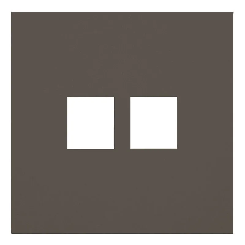 Лицевая панель для двойной информационной розетки капучино Rikett