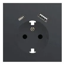 Лицевая панель розетки с заземлением и с USB портами, Rikett